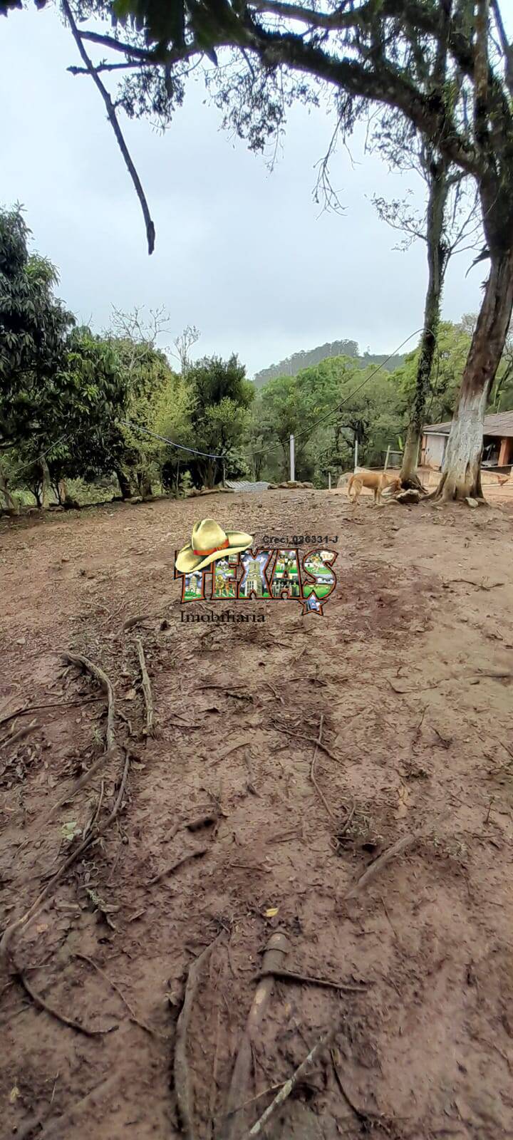 Fazenda à venda com 3 quartos, 5010m² - Foto 13