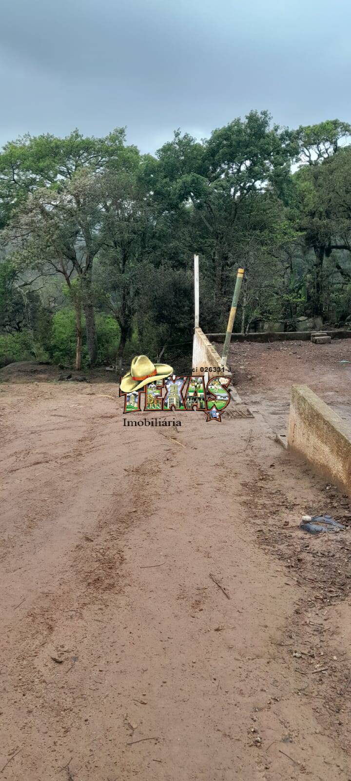 Fazenda à venda com 3 quartos, 5010m² - Foto 21