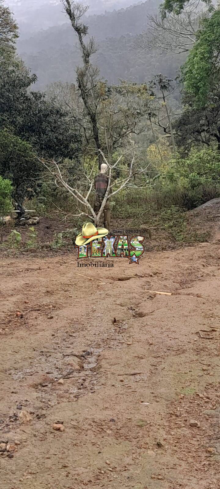 Fazenda à venda com 3 quartos, 5010m² - Foto 18