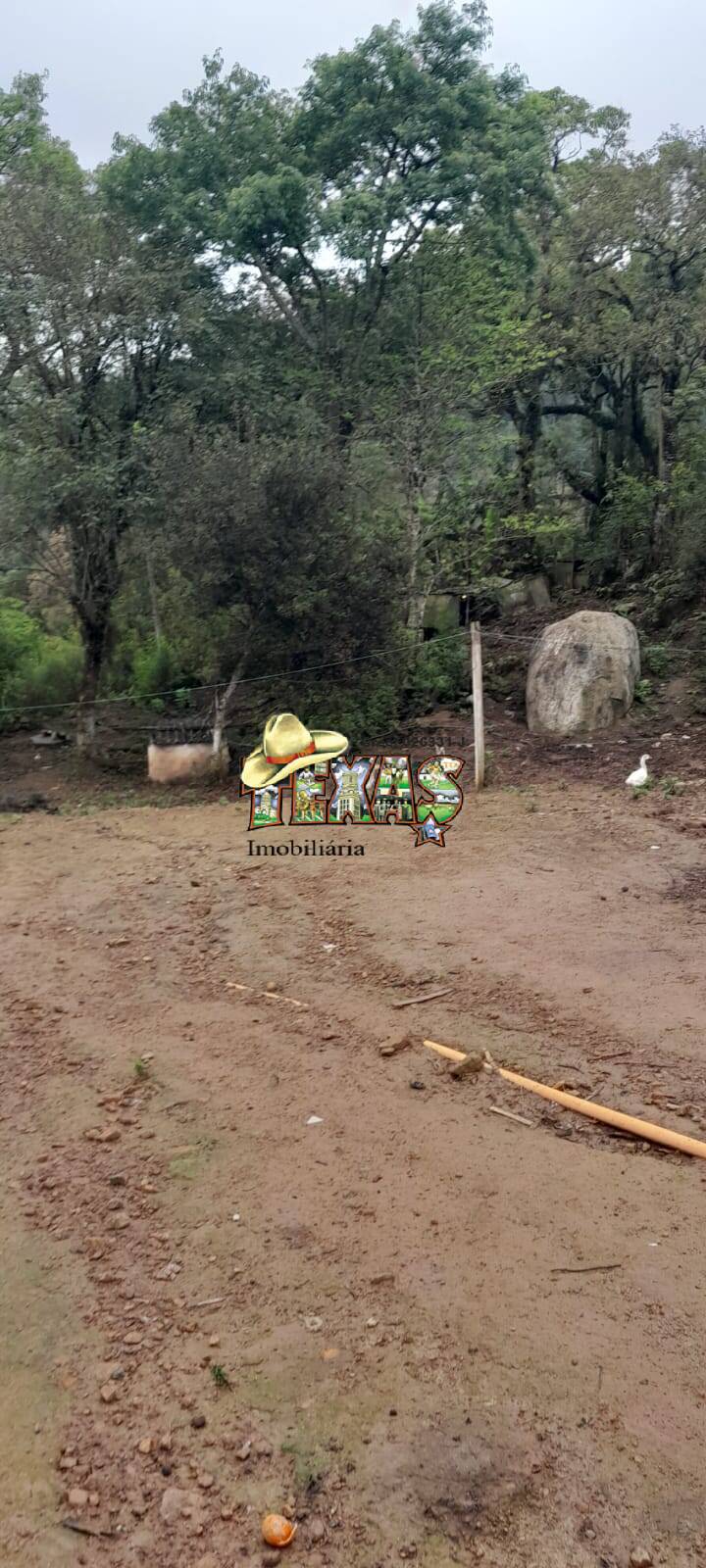 Fazenda à venda com 3 quartos, 5010m² - Foto 19